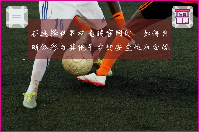 在选择世界杯竞猜官网时，如何判断体彩与其他平台的安全性和合规性？