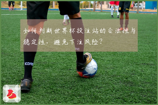如何判断世界杯投注站的合法性与稳定性，避免下注风险？