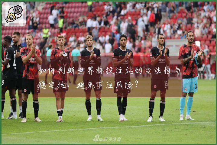 如何判断世界杯投注站的合法性与稳定性，避免下注风险？
